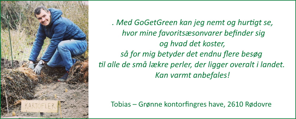 Anmeldelser - Grøn ramme - Brugere - Grønne Kontorfingre - 1000 x 400